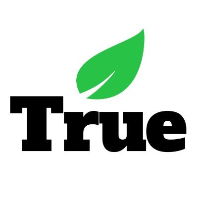 TRUE INTERACTION Logo